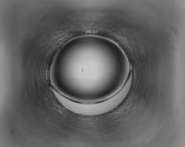 X0000114701444200910211242