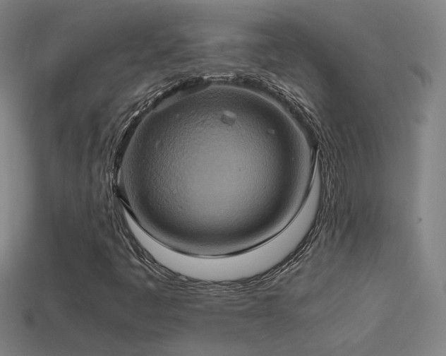 X0000114701445200910211242