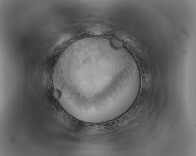 X0000114701446200910211242