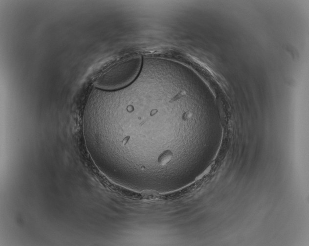 X0000114701447200910211242