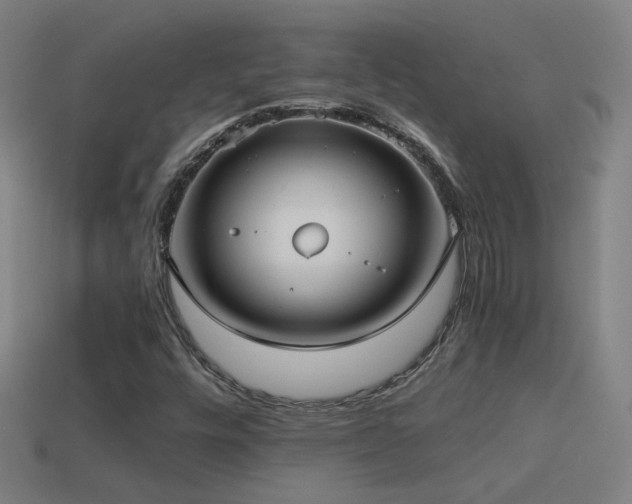 X0000114701448200910211242