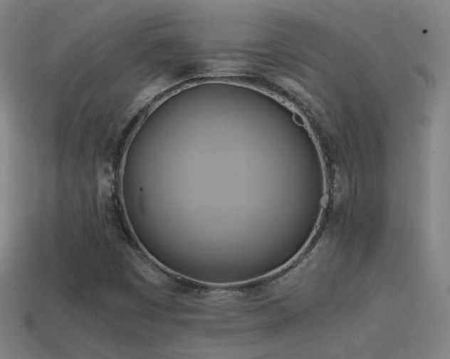 X0000114701449200910211242