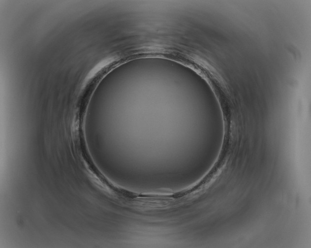 X0000114701450200910211242