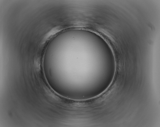 X0000114701451200910211242