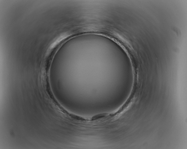 X0000114701453200910211242