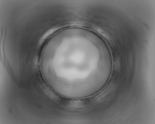 X0000114701454200910211242