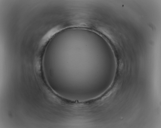 X0000114701455200910211242