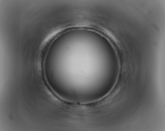 X0000114701456200910211242