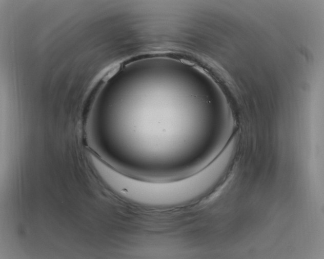 X0000114701457200910211242