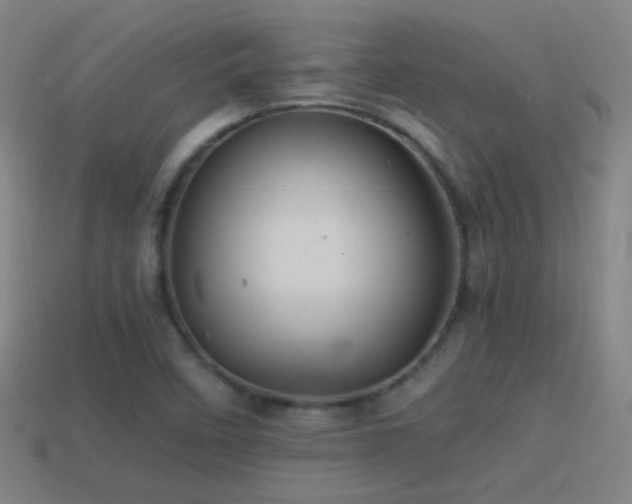 X0000114701458200910211242