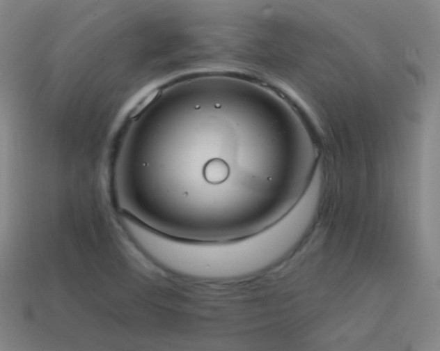 X0000114701460200910211242