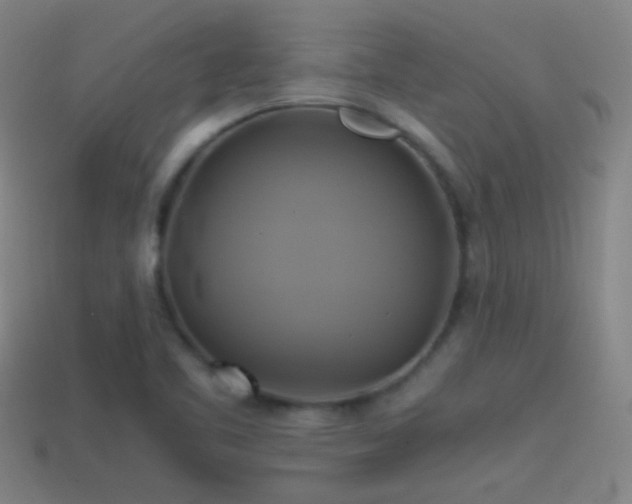 X0000114701461200910211242