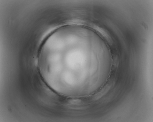 X0000114701462200910211242