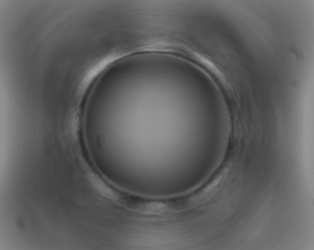 X0000114701463200910211242