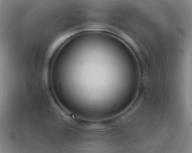 X0000114701464200910211242