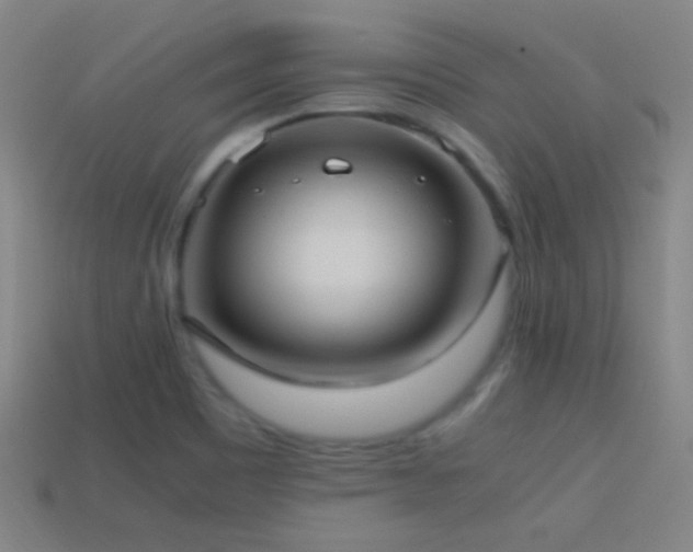 X0000114701465200910211242