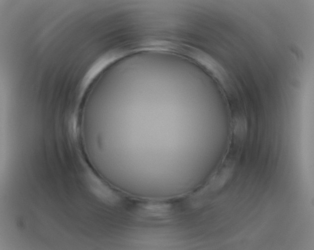 X0000114701466200910211242