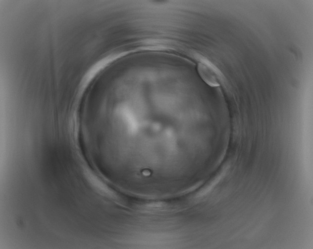 X0000114701467200910211242