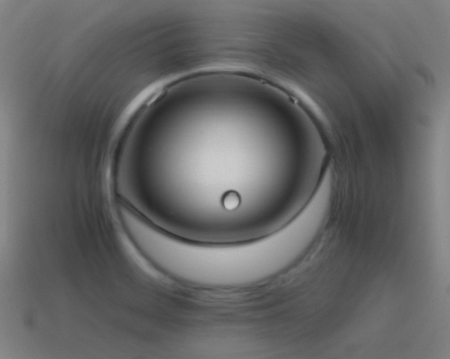 X0000114701468200910211242