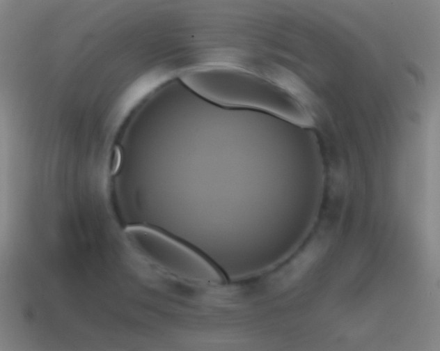 X0000114701469200910211242