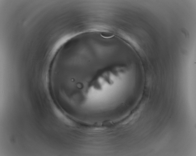 X0000114701471200910211242