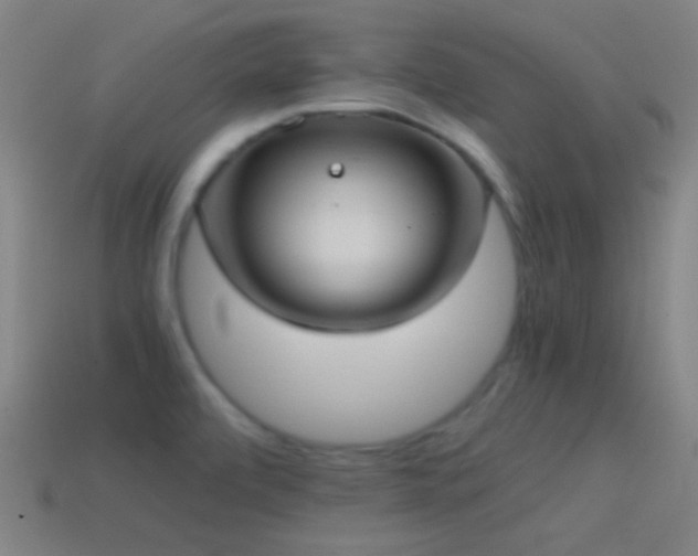 X0000114701472200910211242