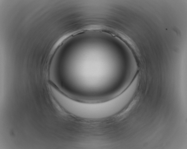 X0000114701473200910211242