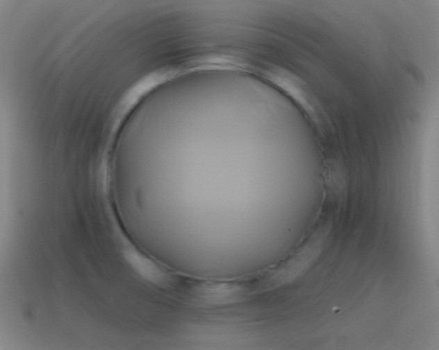 X0000114701474200910211242