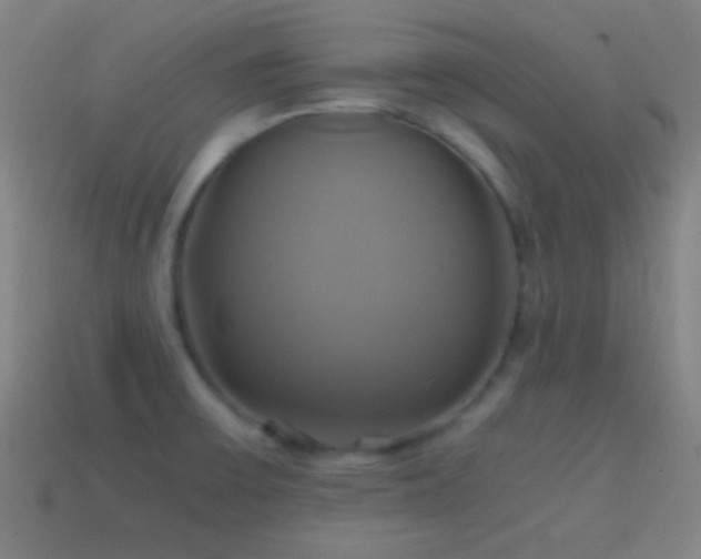 X0000114701475200910211242