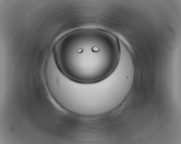 X0000114701476200910211242