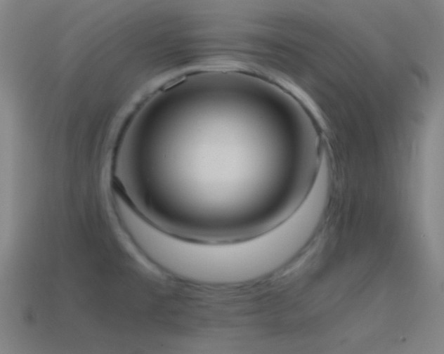 X0000114701477200910211242