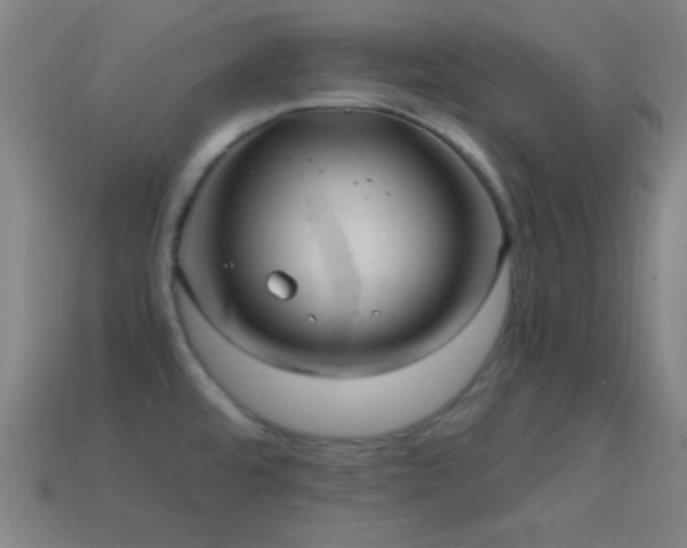 X0000114701480200910211242