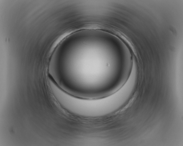 X0000114701481200910211242