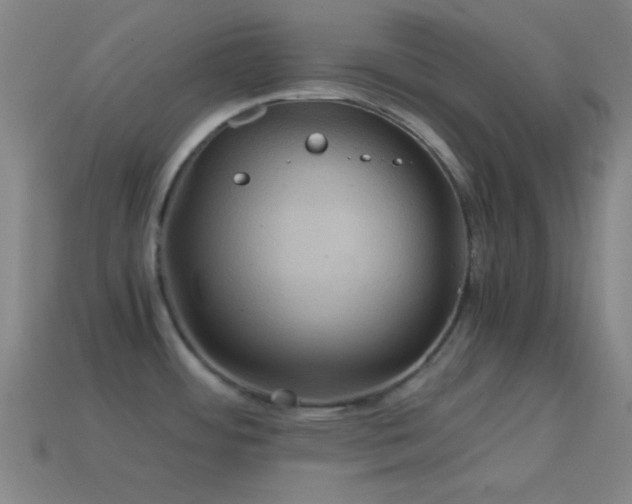 X0000114701484200910211242