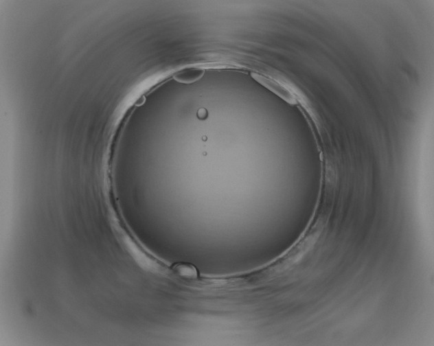 X0000114701485200910211242