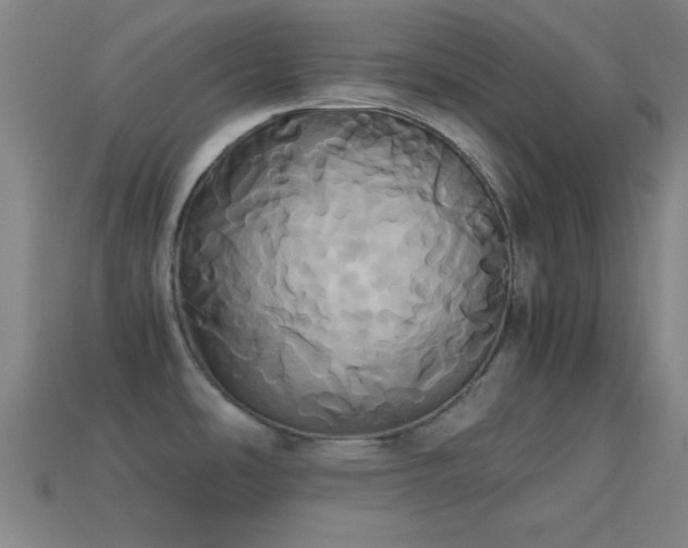 X0000114701486200910211242