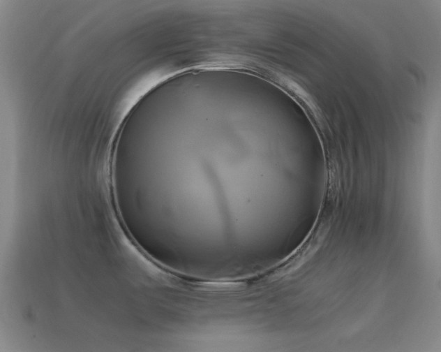 X0000114701487200910211242