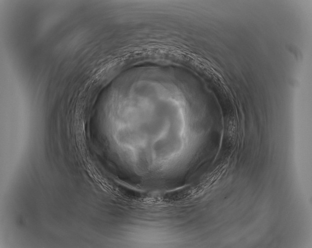 X0000114701489200910211241