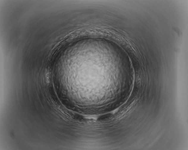 X0000114701490200910211241