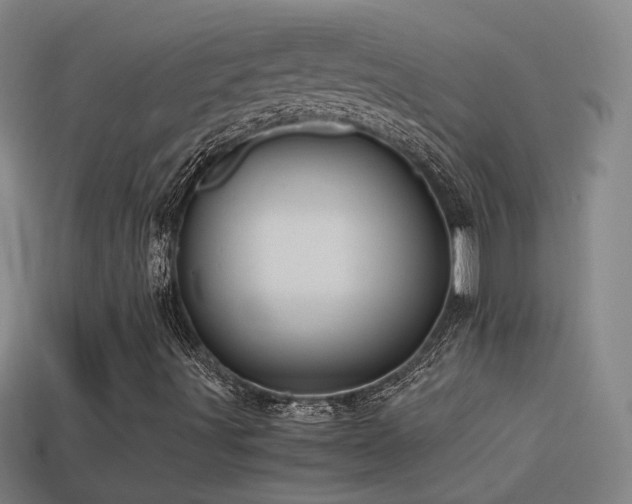 X0000114701491200910211241