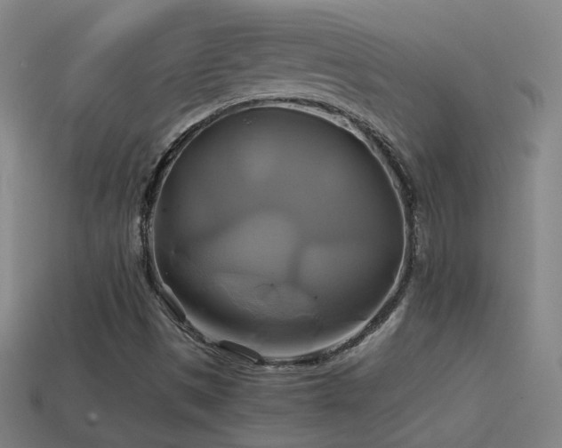 X0000114701497200910211241