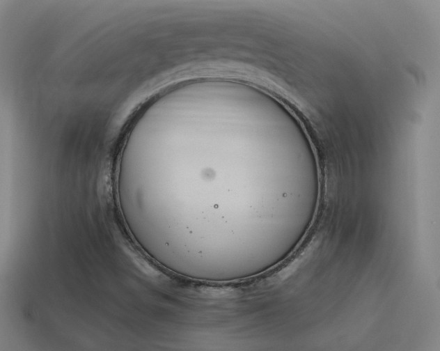 X0000114701498200910211241