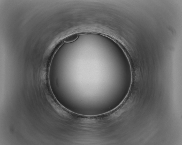 X0000114701499200910211241