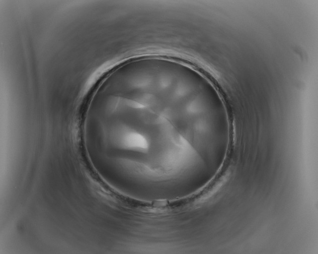 X0000114701501200910211241