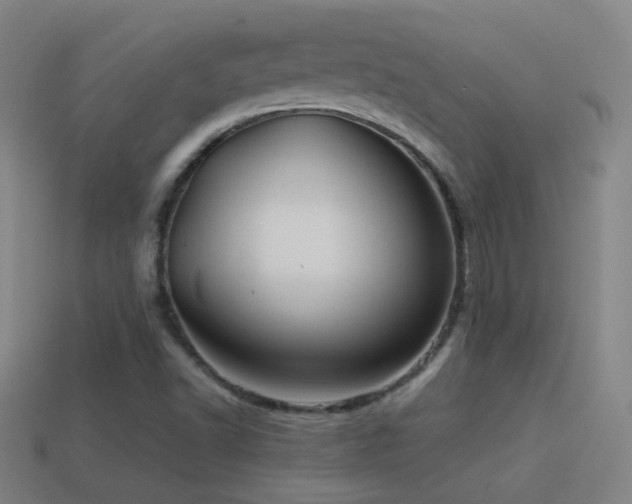 X0000114701502200910211241