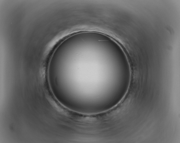 X0000114701503200910211241