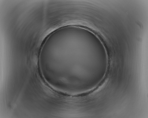 X0000114701505200910211241