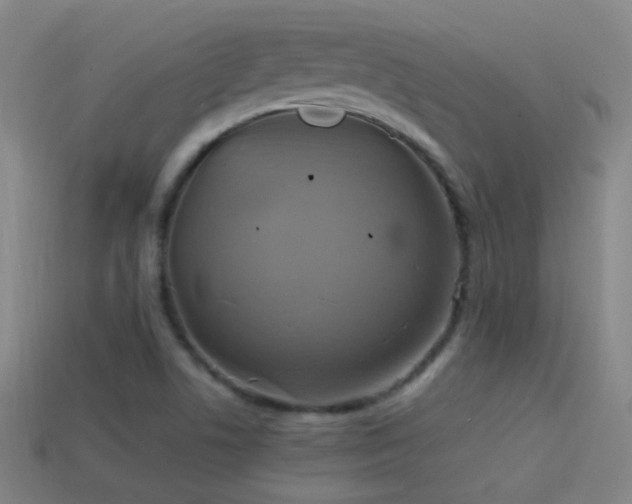 X0000114701506200910211241