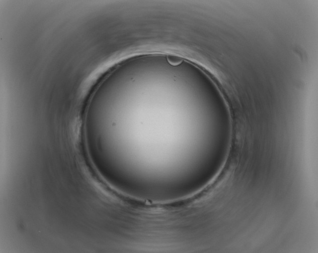 X0000114701507200910211241