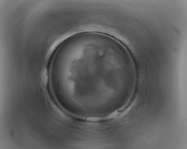 X0000114701509200910211241